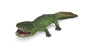 COLLECTA figūrėlė amfibijas koolasučas cleelandis, 88988