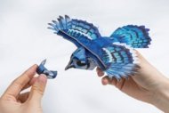 MAKEBUG 3D popierinė delionė Blue Jay, MB-D-0056
