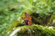 MAKEBUG 3D popierinė delionė Siberian tiger, MB-D-0020