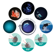 KIDYWOLF projektorius Ocean, mėtinis, KIDYSTAR-GR