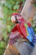 MAKEBUG 3D popierinė delionė Macaw, MB-B-0012