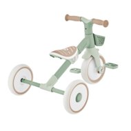 GLOBBER mokomasis triratukas Learning Trike, 2in1 Plus, pistacinis, 737-109