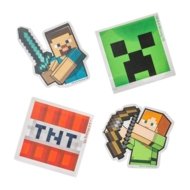 MINECRAFT trintukų rinkinys, 4 vnt., 166507104