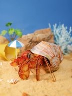 MAKEBUG 3D popierinė delionė Hermit Crab, MB-B-0008