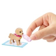 BARBIE šunelių priežiūros rinkinys, HKD86