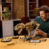 76968 LEGO® Jurassic World™ Dinozaurų fosilijos: tiranozauras
