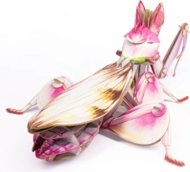 MAKEBUG 3D popierinė delionė Orchid Mantis, MB-B-0003