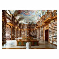 RAVENSBURGER dėlionė Biblioteka, 1000 det., 12001440