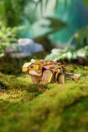 MAKEBUG 3D popierinė delionė jinyunpelta, MB-D-0039