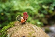 MAKEBUG 3D popierinė delionė rooster, MB-D-0015