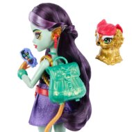 MONSTER HIGH lėlė Jinafirė, HYV58
