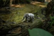 MAKEBUG 3D popierinė delionė Asian elephant, MB-D-0018