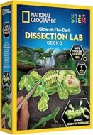 NATIONAL GEOGRAPHIC rinkinys Glow in the Dark Gecko Dissection Lab, RTGECKOLAB