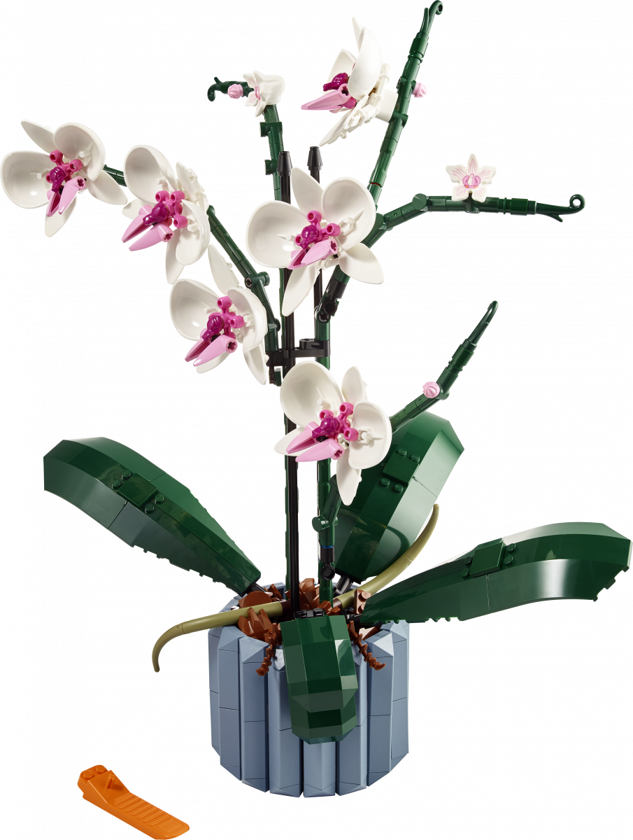 10311 LEGO® ICONS Orchidėja | Kolekciniai LEGO ir konstruktoriai