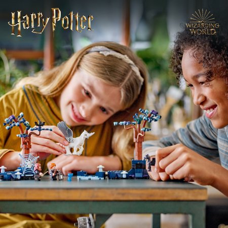 76432 LEGO® Harry Potter™ Uždraustasis miškas: magiškos būtybės 