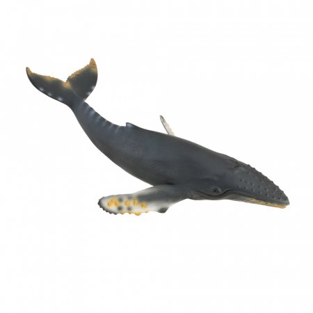 COLLECTA Kuprotasis banginis, (XL), 88347 88347