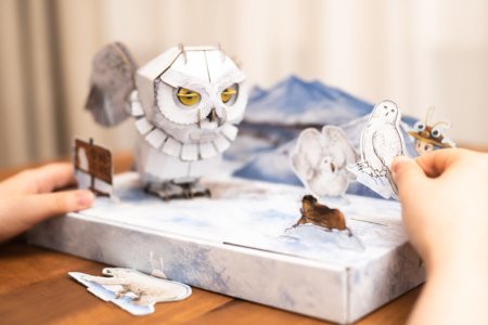 MAKEBUG 3D popierinė delionė Snowy Owl, MB-B-0009 