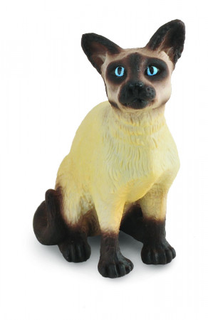 COLLECTA katė tupinti siamo (s) 88331 