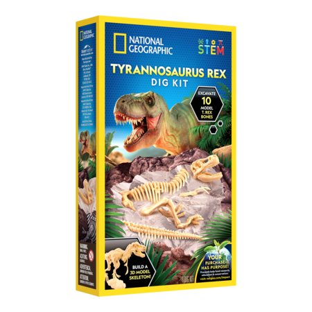 NATIONAL GEOGRAPHIC rinkinys T-Rex Skeleton Dig Kit, RTTREXDIG 