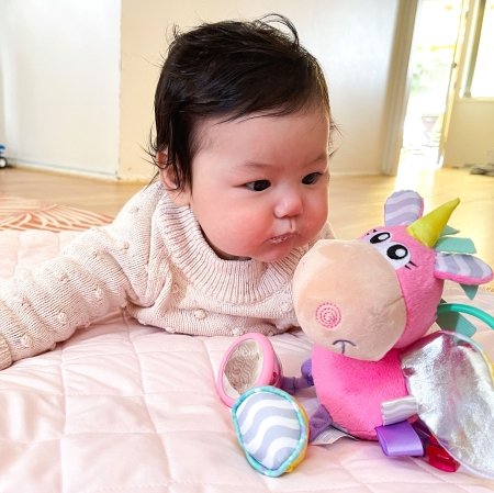 PLAYGRO barškutis Unicorn Activity, 188463 