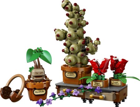 76474 LEGO® Harry Potter™ Hogvartso herbalogijos augalai 