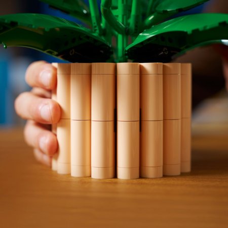 11504 LEGO® Botanicals Vėzdūnė 