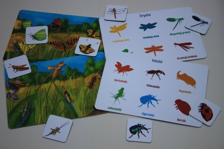 Žaidimų lagaminas "Lietuvos gyvūnai"LT, 0227 