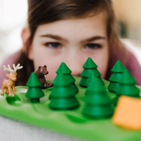 SMART GAMES Stalo žaidimas Grizzly Gears, SMA#531 