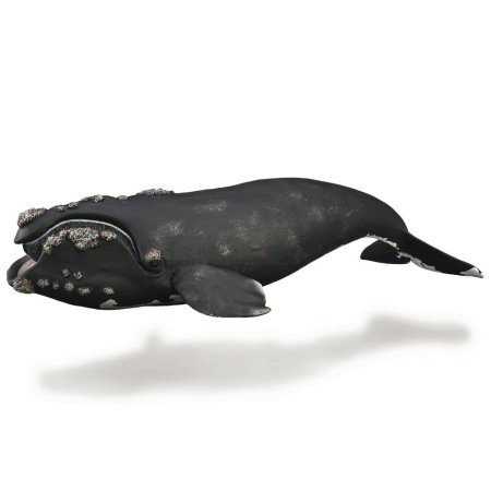 COLLECTA Banginis (XL) 88740 
