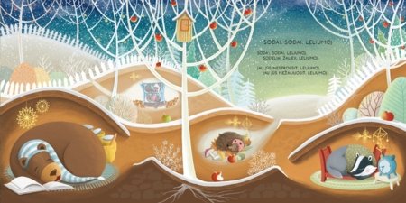 Džyru džyru žiema Lietuviškos dainelės nuo advento, Kalėdų iki Užgavėnių, 9786090900680 