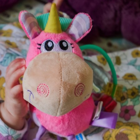 PLAYGRO barškutis Unicorn Activity, 188463 