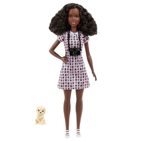 BARBIE Barbė karjeristė assort., DVF50 