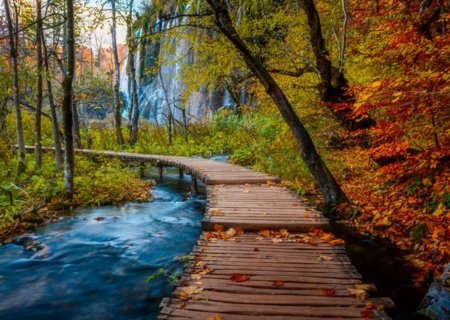 RAVENSBURGER PUZZLE dėlionė Rudeninis miško takas, 1000 det., 12001764 6 