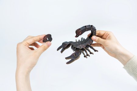 MAKEBUG 3D popierinė delionė Forest scorpion, MB-D-0053 