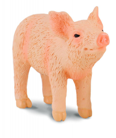 COLLECTA uostantis paršiukas (S), 88344 