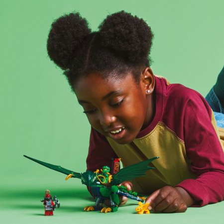 71829 LEGO® NINJAGO® Lloyd Žaliojo miško drakonas 