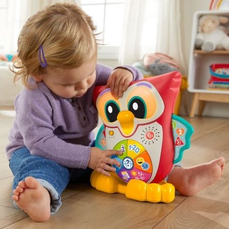 FISHER PRICE muzikinis,interaktyvus  pelėdžiukas Pupū, lietuviškai įgarsintas, HNK87 HNK87
