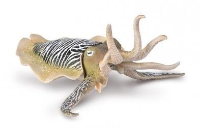 COLLECTA Jūros gyvūnas Common Cuttlefish (XL), 80009 
