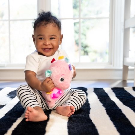 BABY EINSTEIN raminantis pliušinis žaislas Seahorse Soother, rožinis, 17400-013 