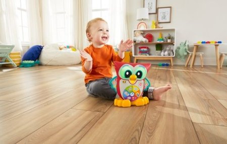 FISHER PRICE muzikinis,interaktyvus  pelėdžiukas Pupū, lietuviškai įgarsintas, HNK87 HNK87