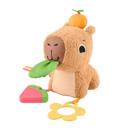 FISHER PRICE lavinamasis žaislas – Kapibara, HYR54 