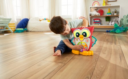 FISHER PRICE muzikinis,interaktyvus  pelėdžiukas Pupū, lietuviškai įgarsintas, HNK87 HNK87