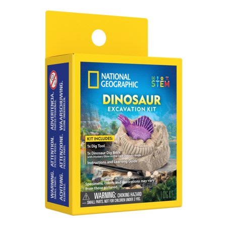 NATIONAL GEOGRAPHIC rinkinys Dinosaur Excavation, CRNGDINOPDQINT 