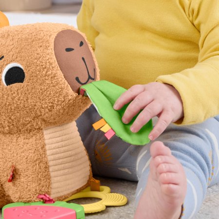 FISHER PRICE lavinamasis žaislas – Kapibara, HYR54 