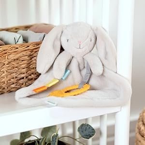 INGENUITY pliušinis kiškutis - kramtukas Cozy Sylvi, 17302 