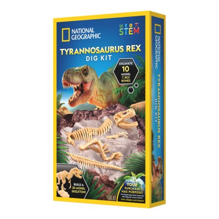 NATIONAL GEOGRAPHIC rinkinys T-Rex Skeleton Dig Kit, RTTREXDIG 