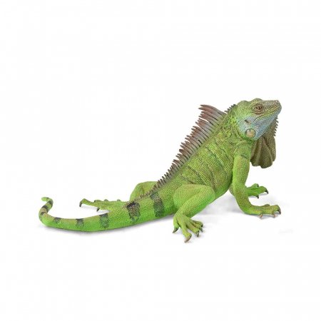 COLLECTA Iguana (XL), 88965 88965