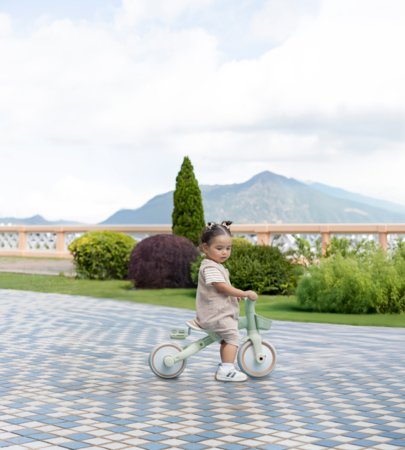 GLOBBER mokomasis triratukas Learning Trike, 3in1 Plus, pistacinis, 738-109 
