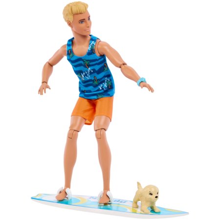 BARBIE kenas su banglente ir šuneliu, HPT50 