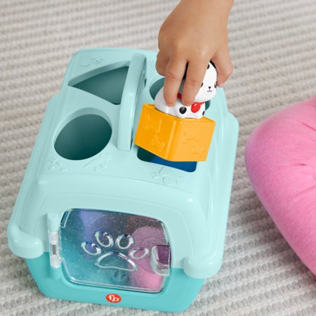 FISHER-PRICE Formelių rūšiuoklė naminiai gyvūnėliai, HTW93 